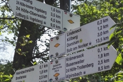 FDSBW011-Betzweiler_Altes-Kirchle