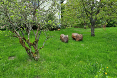 20230517_144608-Mittel