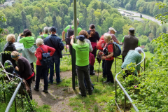 20230518_110754-Mittel