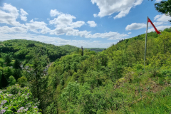 20230518_121747-Mittel