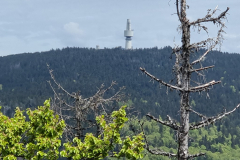 20230519_121503-Mittel