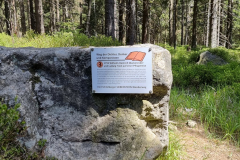 20230519_125831-Mittel
