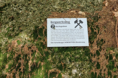 20230519_150656-Mittel