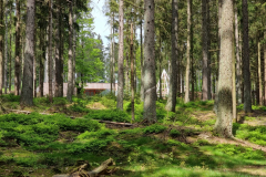 20230519_153710-Mittel