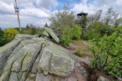 20230520_141252-Mittel