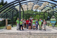 20230709_141115-Mittel