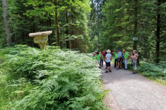 20230709_144232-Mittel