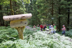 20230709_144245-Mittel