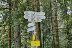 20230709_145017-Mittel