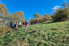 20231022_111829-Mittel