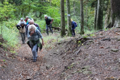 20231022_114454-Mittel