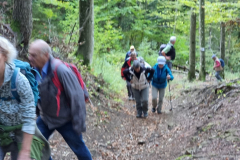 20231022_114508-Mittel