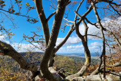 20231022_130437-Mittel