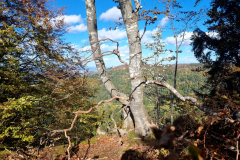 20231022_142321_01-Mittel