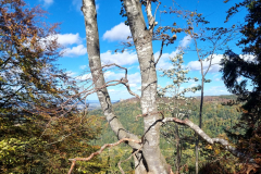 20231022_142321_03-Mittel