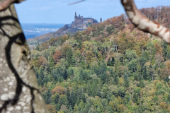 20231022_142341-Mittel