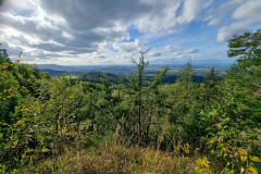 20231022_151257-Mittel