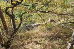 20231022_151449-Mittel