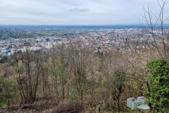 20240317_121811-Mittel