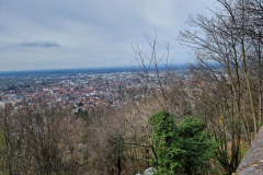 20240317_122427-Mittel