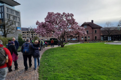 20240317_153342-Mittel