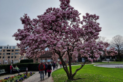 20240317_153403-Mittel
