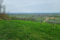 20240407_140737-Mittel