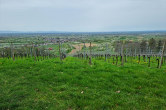 20240407_140742-Mittel