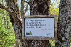 20250427_141746_ergebnis