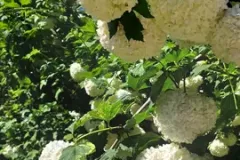 IMG-20250511-WA0014_ergebnis