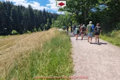 20250629_140411_