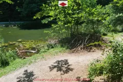 20250629_143249_