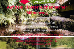 Auf-dem-Klosterreichenbacher-Moenchweg_20250725_104816_0000