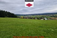 20250921_173922_
