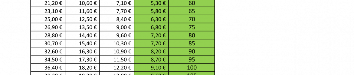 Fahrtkostenempfehlung 2024