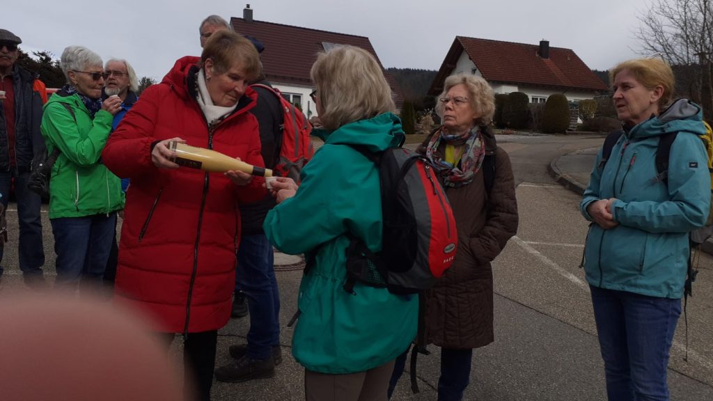 Auf der suche nach dem Frühling im Murgtal