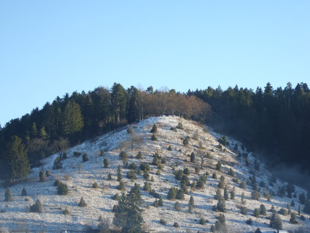 Dissenhorn_Wacholderheide_im_Winter