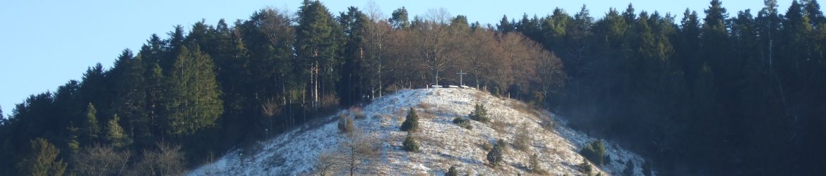 Dissenhorn_Wacholderheide_im_Winter