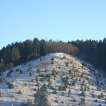 Dissenhorn_Wacholderheide_im_Winter