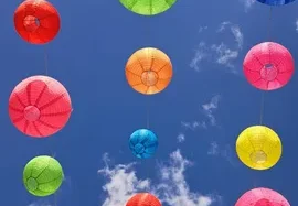 IMG-20260509-WA0015_