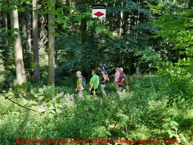 20260712_155955_